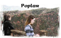 Poplar