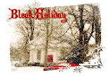 Bleak Holiday