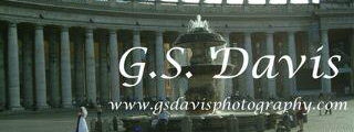 Greg C. Davis.com