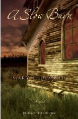 A Slow Burn by Mary DeMuth